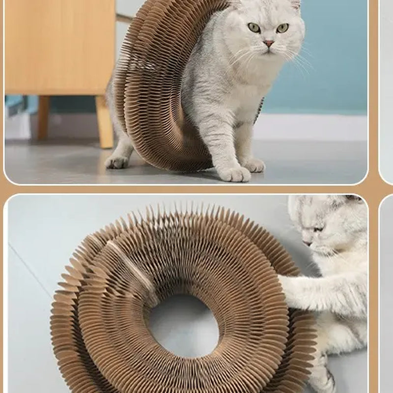 Furfitfun Kitty Kurlz,Foldable Scratcher Toy, Magic Organ Cat Scratching Board Toy with Balls Bells,Made of Recyclable Corrugated Cardboard,Interactive Mental Physical Exercise Toys for Indoor Cats