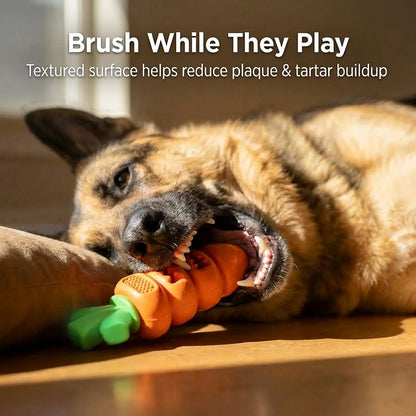 Apasiri Aggressive Chewer Dog Toys, Durable Carrot Leaf Design for Teeth Cleaning & Mental Stimulation